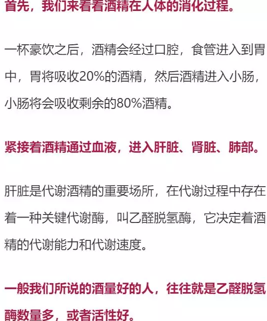 喝多少酒開車算酒駕？喝完酒多久能開車？這組數據，都說明白了